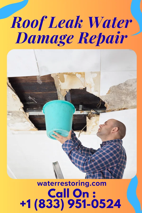 Roof Leak Water Damage Repair in Ragan, NE